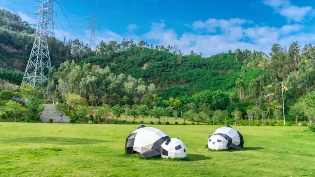 春日之約，享受自然之美